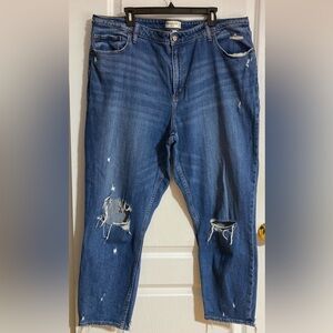 Abercrombie & Fitch Curve Love Mom High Rise Distressed Ripped Jeans Size 35